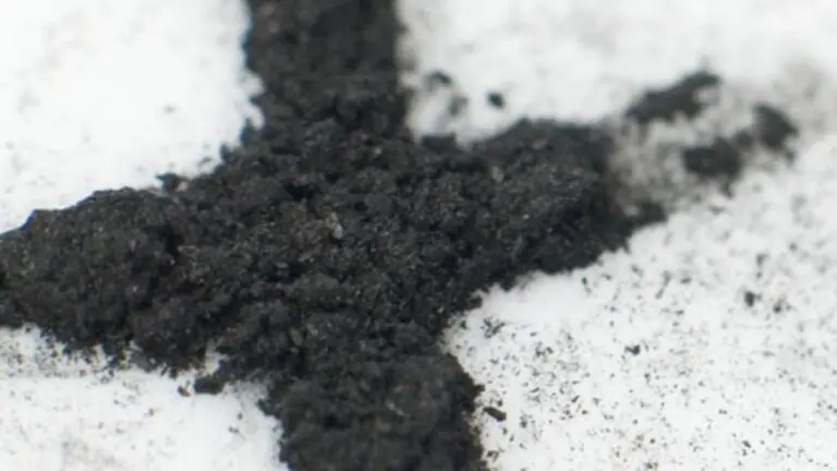 Saiba o que é a Quarta-feira de cinzas e o significado da tradição