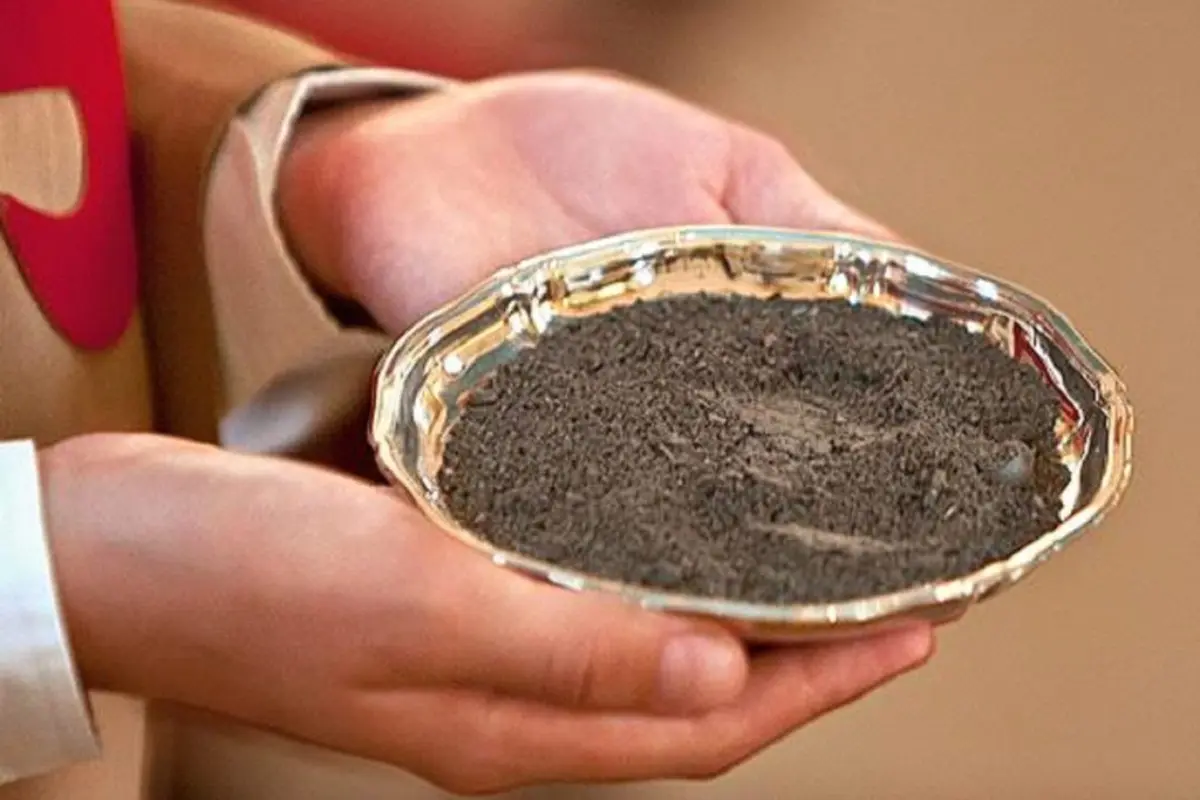 Imagem mostra cinzas