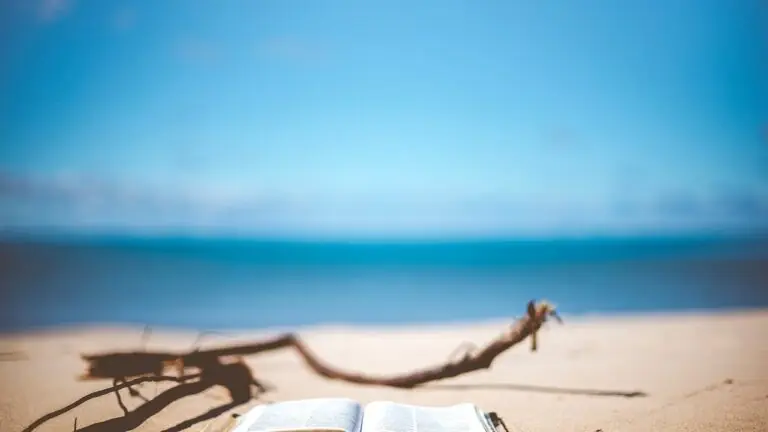 Salmo do dia (11/02/2021): nosso refúgio vem de Deus