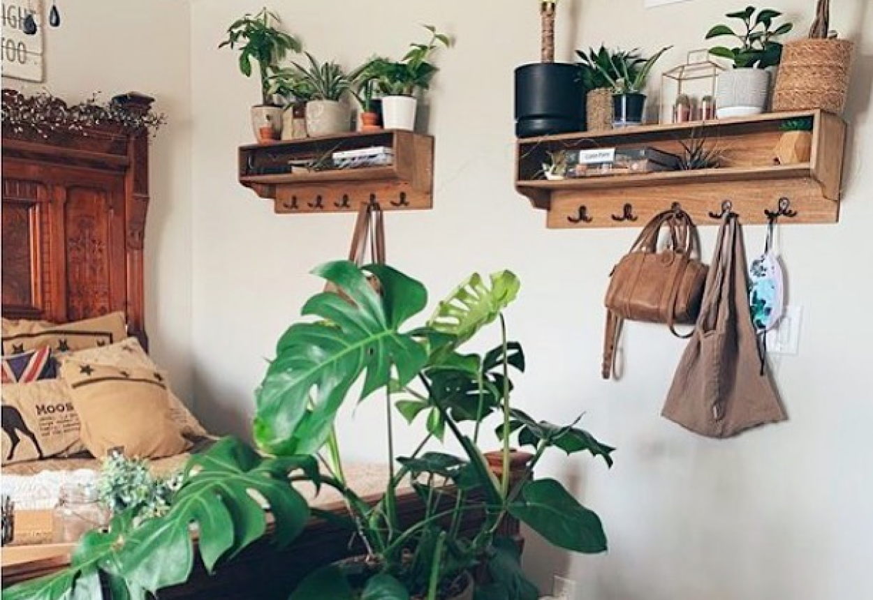 Plantas para quarto