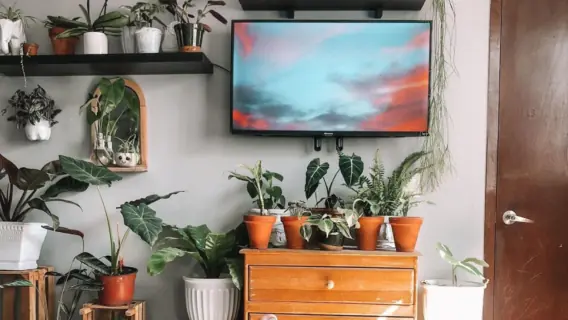 Urban Jungle: o que é, inspirações e como adotar a tendência