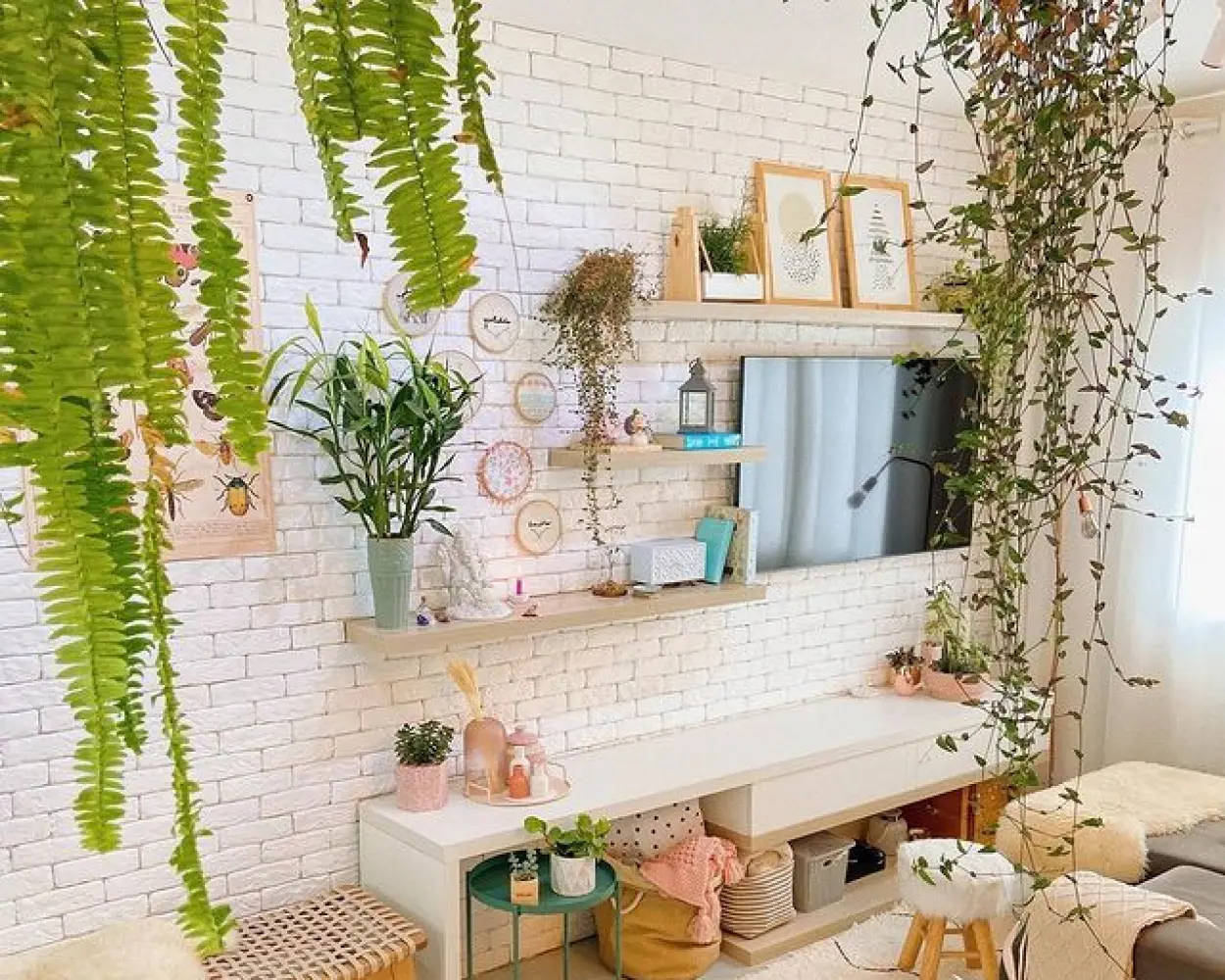 Plantas para apartamento Plantas para apartamento