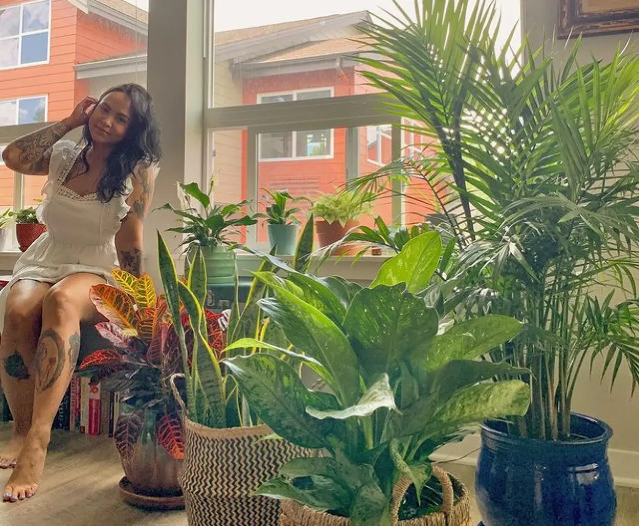 Urban Jungle Urban Jungle