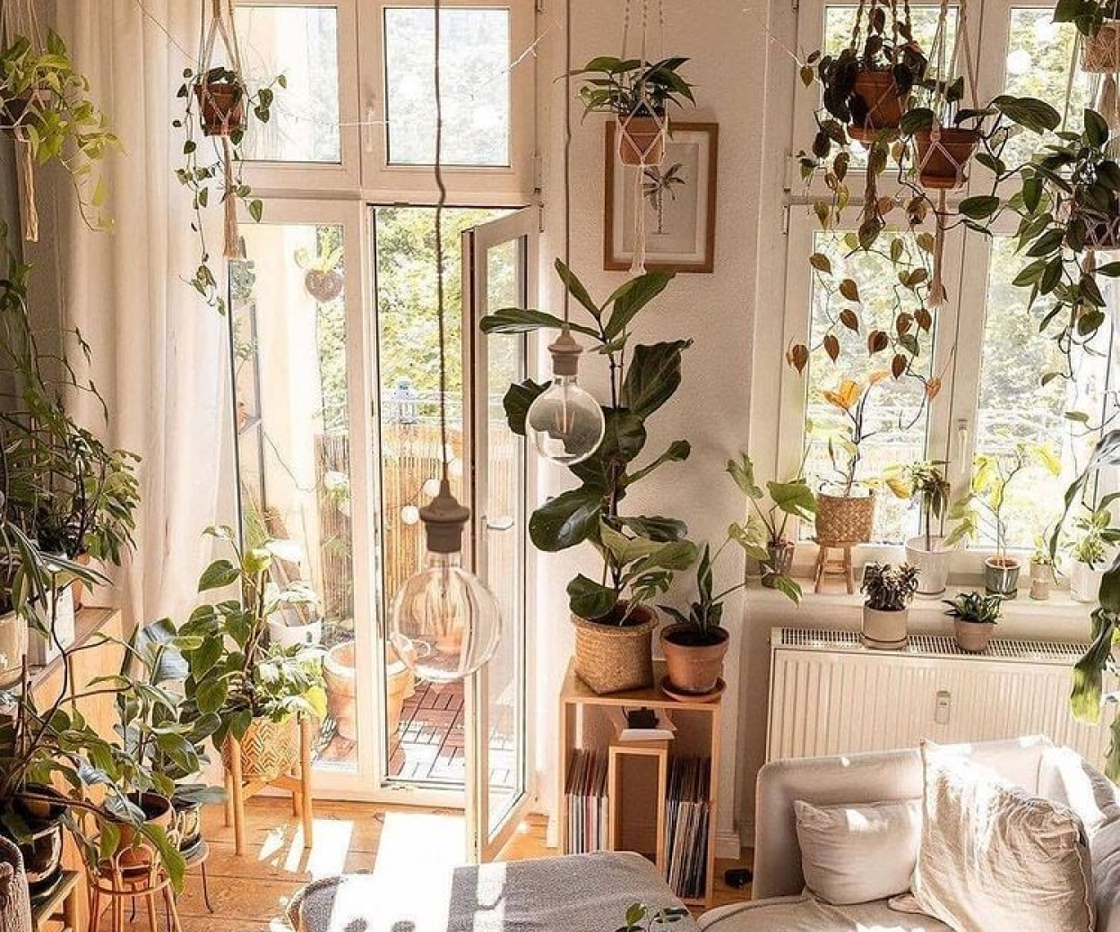 Plantas para casa