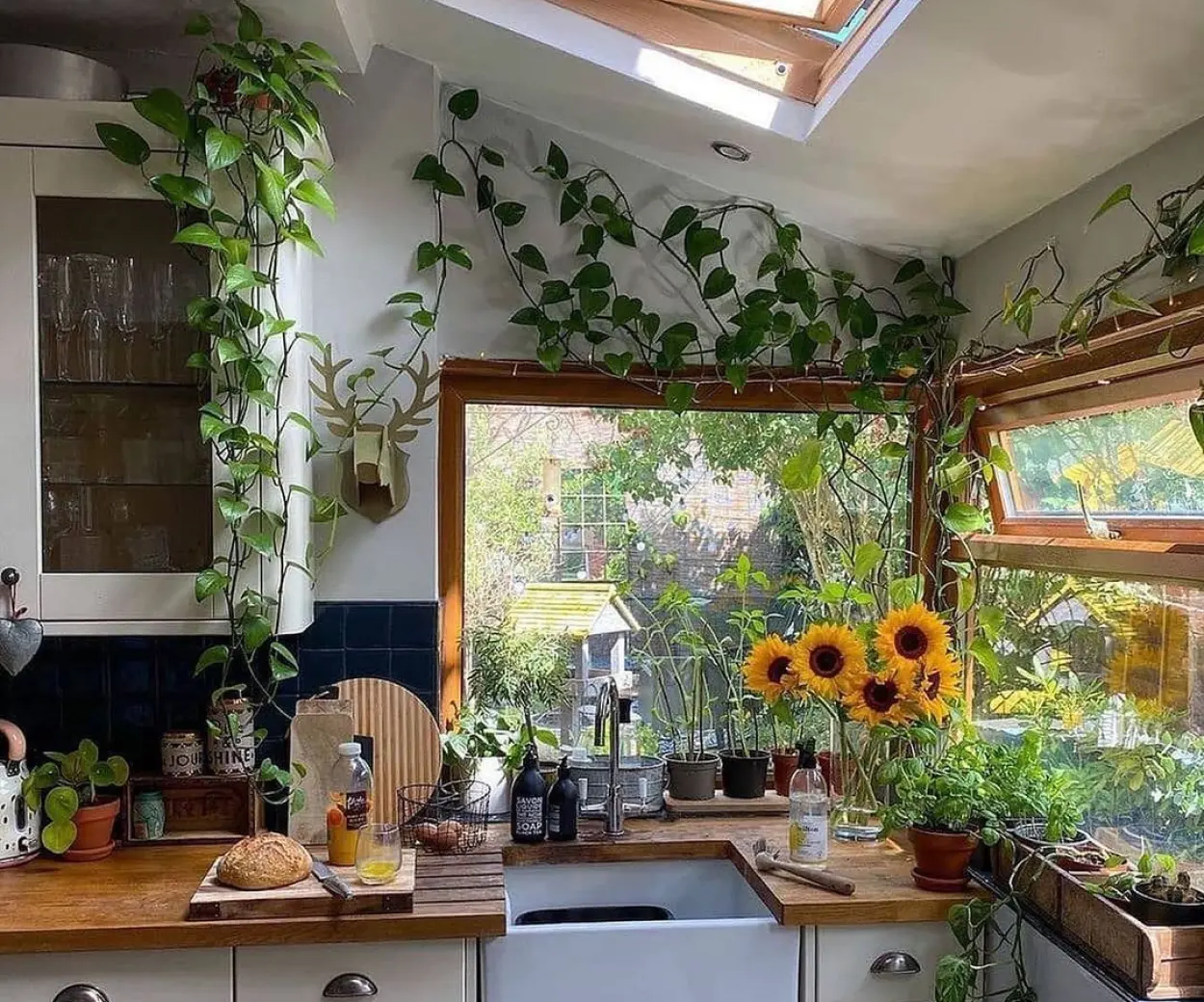 Urban jungle