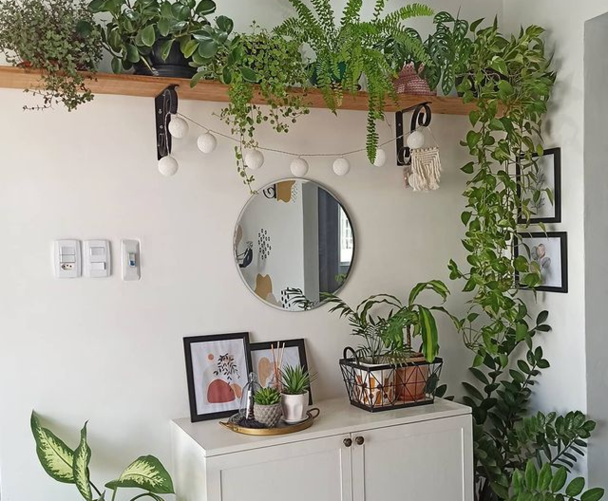 Plantas para interior