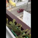 Imagem da vista de Juliette do BBB21 em casa