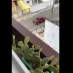 Imagem da vista de Juliette do BBB21 em casa