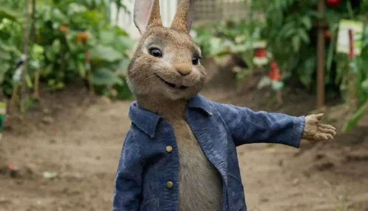 Imagem de Pedro Coelho