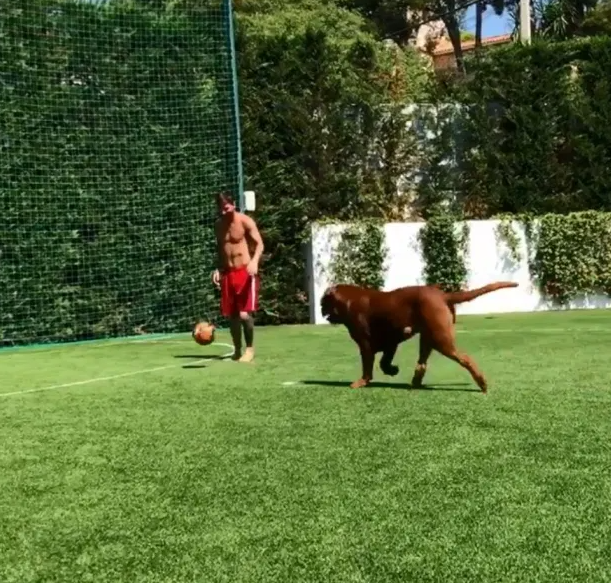 Messi joga bola ao lado de seu cachorro no quintal de sua residência