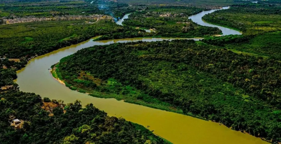 Pantanal possui uma enorme biodiversidade. Foto por Mayke Toscano