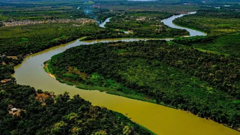 Pantanal: o que você precisar saber antes de ir