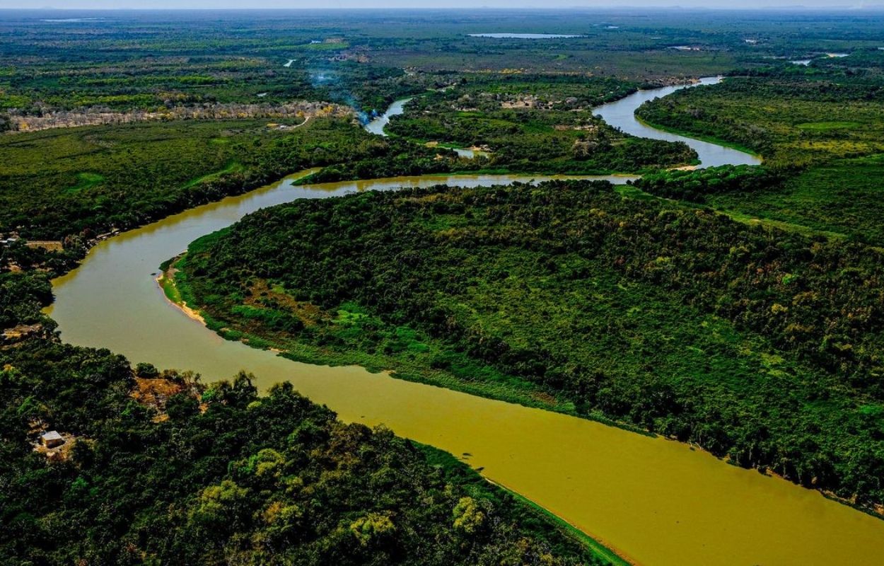 Pantanal possui uma enorme biodiversidade. Foto por Mayke Toscano