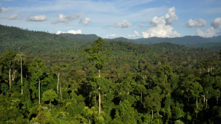 Criptomoeda MCO2 será negociada em exchange internacional