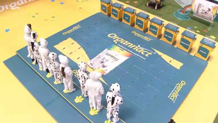 BBB21: Viih Tube vence a Prova do Anjo; saiba quem está no Monstro