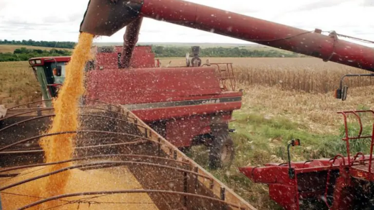 Previsão da safra de 2021 é de 263,1 milhões de toneladas, diz IBGE