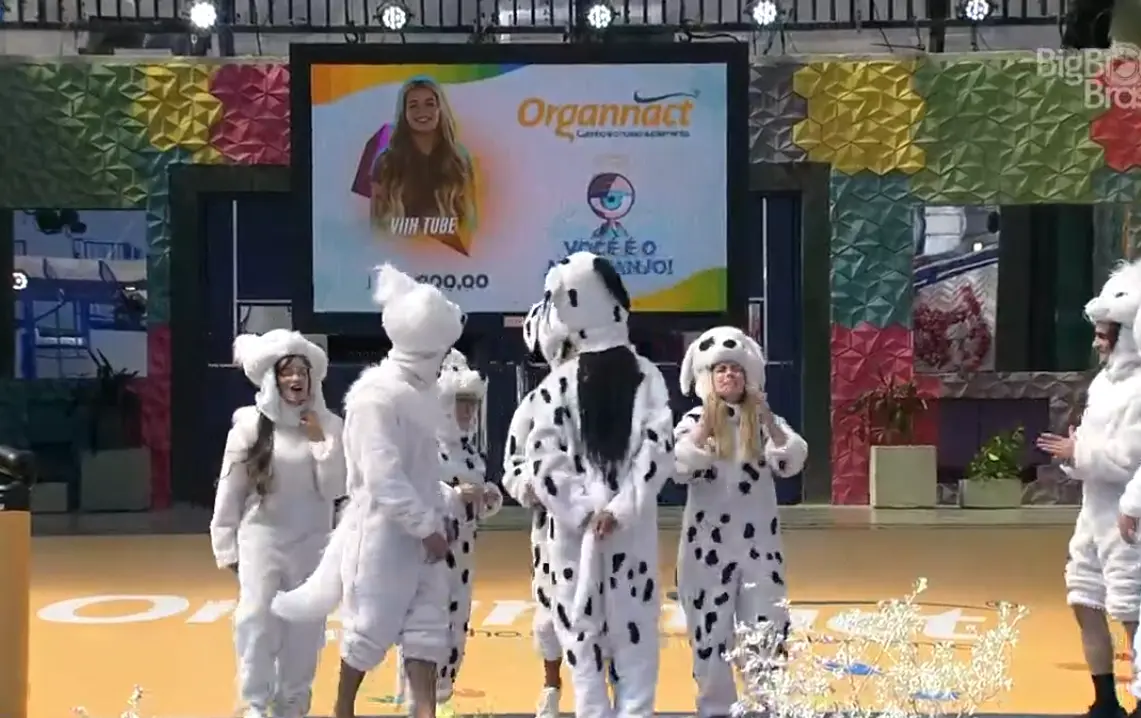 Viih Tube novo anjo