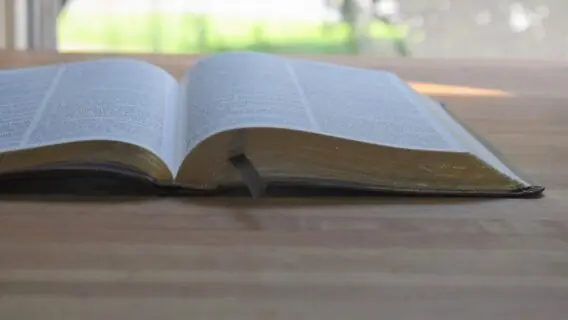 Versículo do dia (03/03): leitura para ter fé e alegria