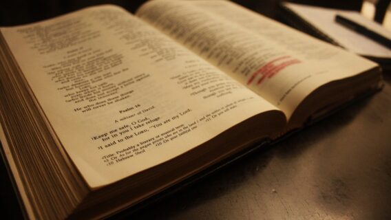 Salmo do dia (04/03/2021): leitura para uma quinta de paz