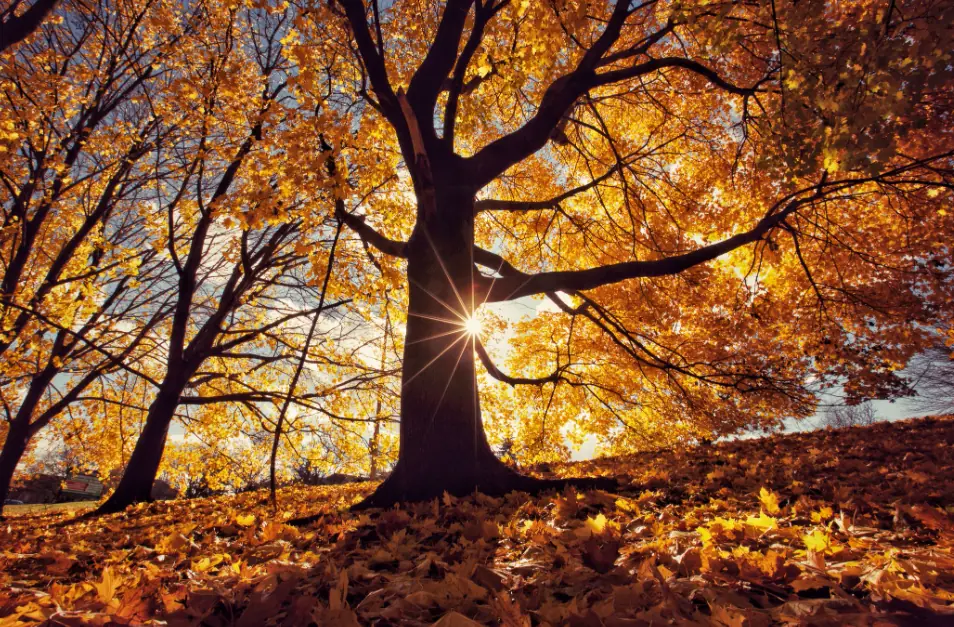 equinócio de outono de 2021