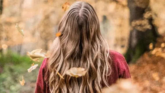 Quando começa o outono 2021? Veja a data da nova estação