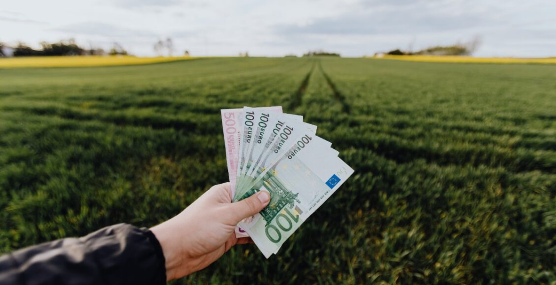 Imagem mostra pessoa segurando notas de dinheiro e ao fundo da imagem, uma vegetação. Foto incluída na matéria sobre Crédito de carbono no brasil