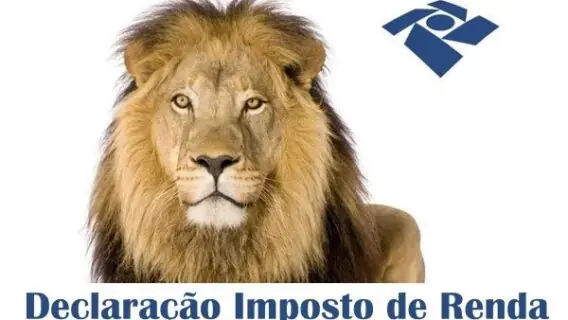 Dados e documentos que o contribuinte precisa para a declaração do IR