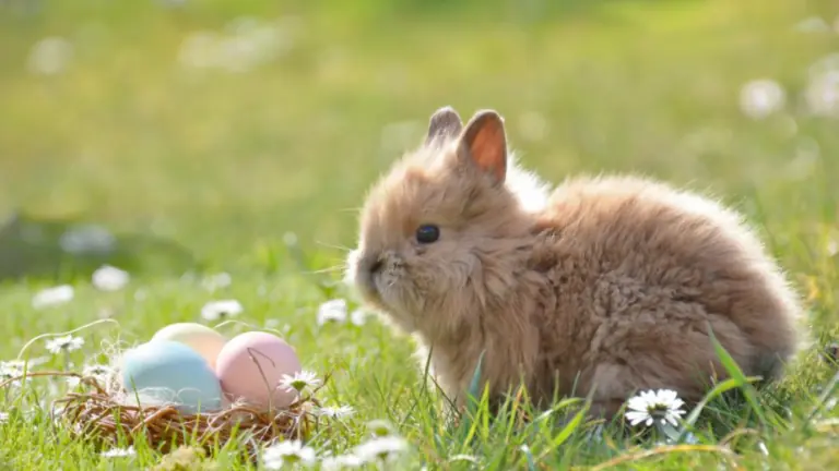 20 melhores mensagens de Páscoa e desejos para compartilhar
