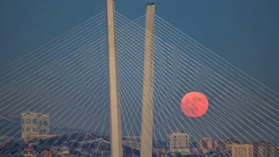 Quando é a lua rosa em abril de 2021? Veja horário e significado