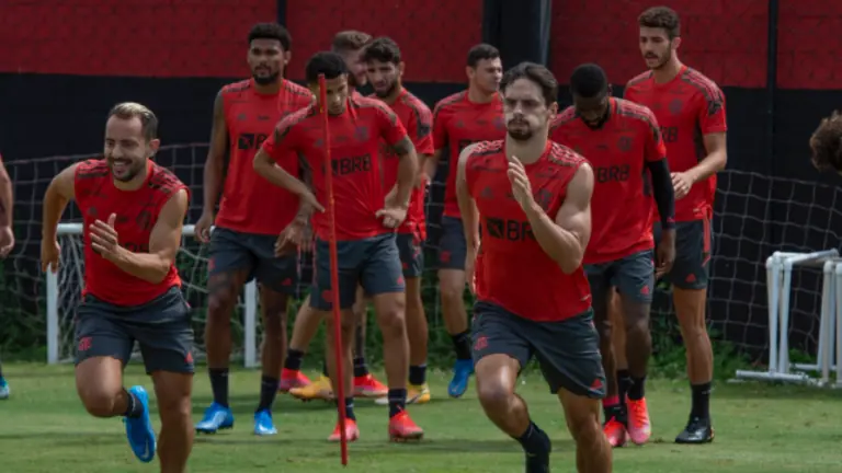 MOSS, dona da criptomoeda MCO2, patrocinará o Flamengo