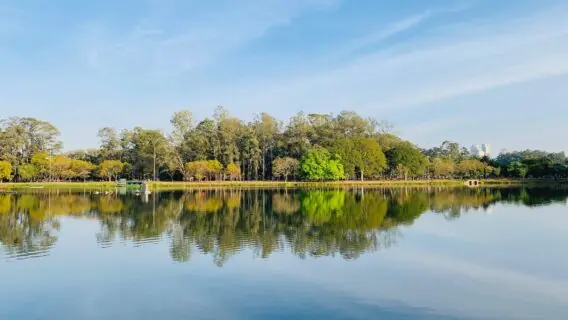 Fase de transição do Plano SP: veja o que reabre neste sábado (24)