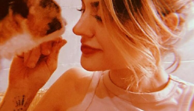 Frances e gatinho