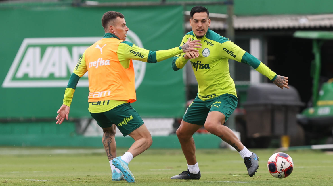 Jogo do Palmeiras hoje – 9/5: assistir ao vivo e horário do Paulistão
