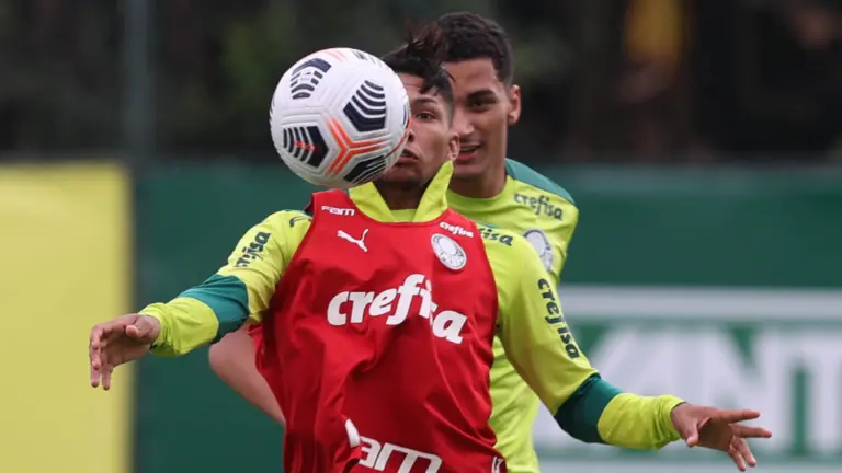 Jogo do Palmeiras na Libertadores hoje – 11/5: como assistir e horário