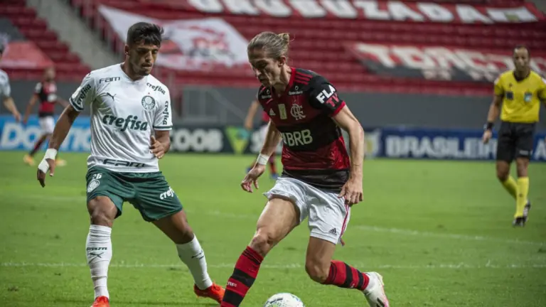 Jogo do Flamengo e Palmeiras hoje – 30/5: como assistir e horário