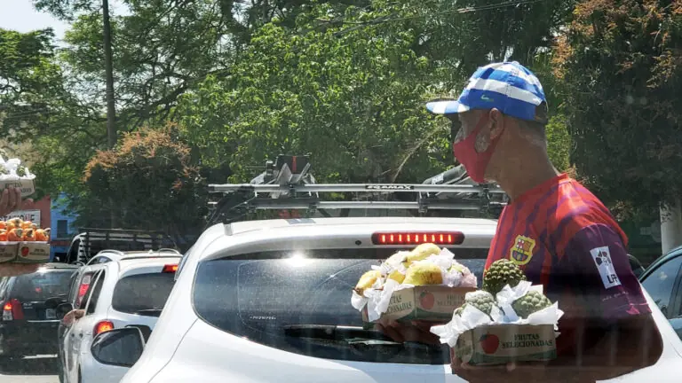 Substituto do auxílio emergencial: o que já sabemos sobre o BIP