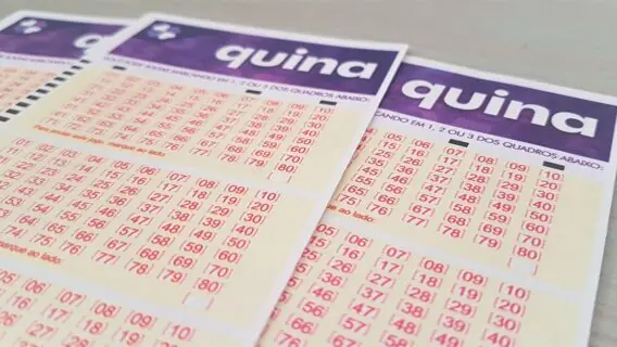 Quina 5557: prêmio acumula em R$ 2,6 milhões no próximo sorteio