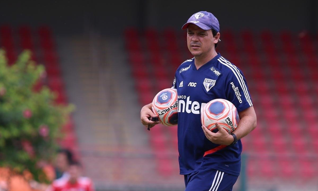 Fernando Diniz é principal candidato para assumir o Santos