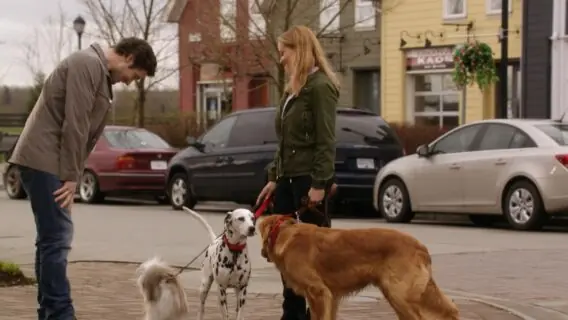 Sessão da Tarde hoje (22/06) vai passar ‘Um Amor Verdadeiro’