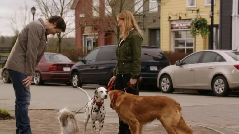 Sessão da Tarde hoje (22/06) vai passar ‘Um Amor Verdadeiro’