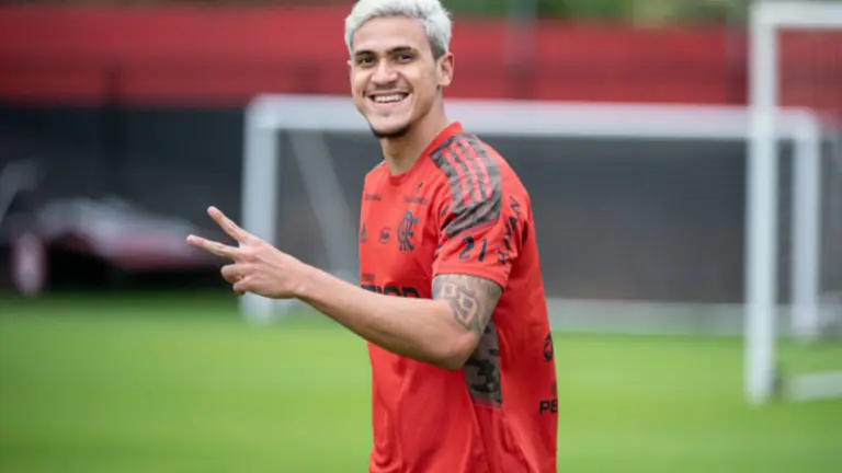 Assistir jogo do Flamengo hoje – 13/6: saiba o horário e as transmissões