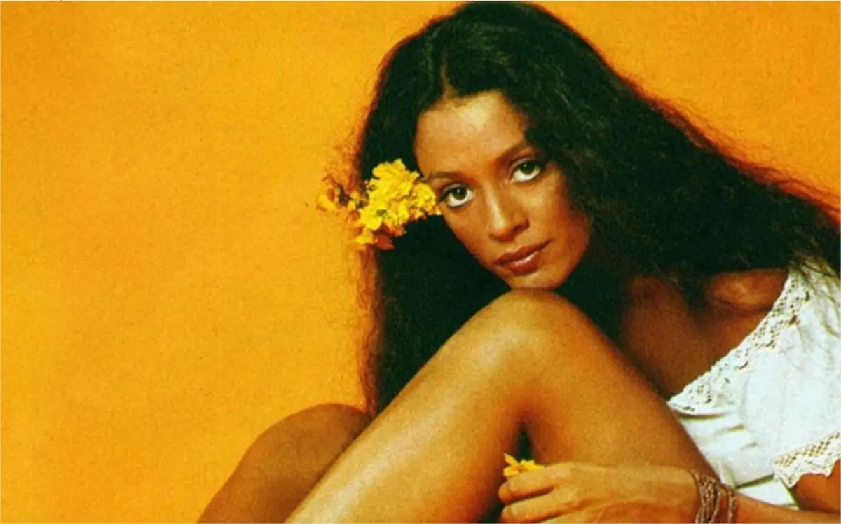 Próxima novela do Viva