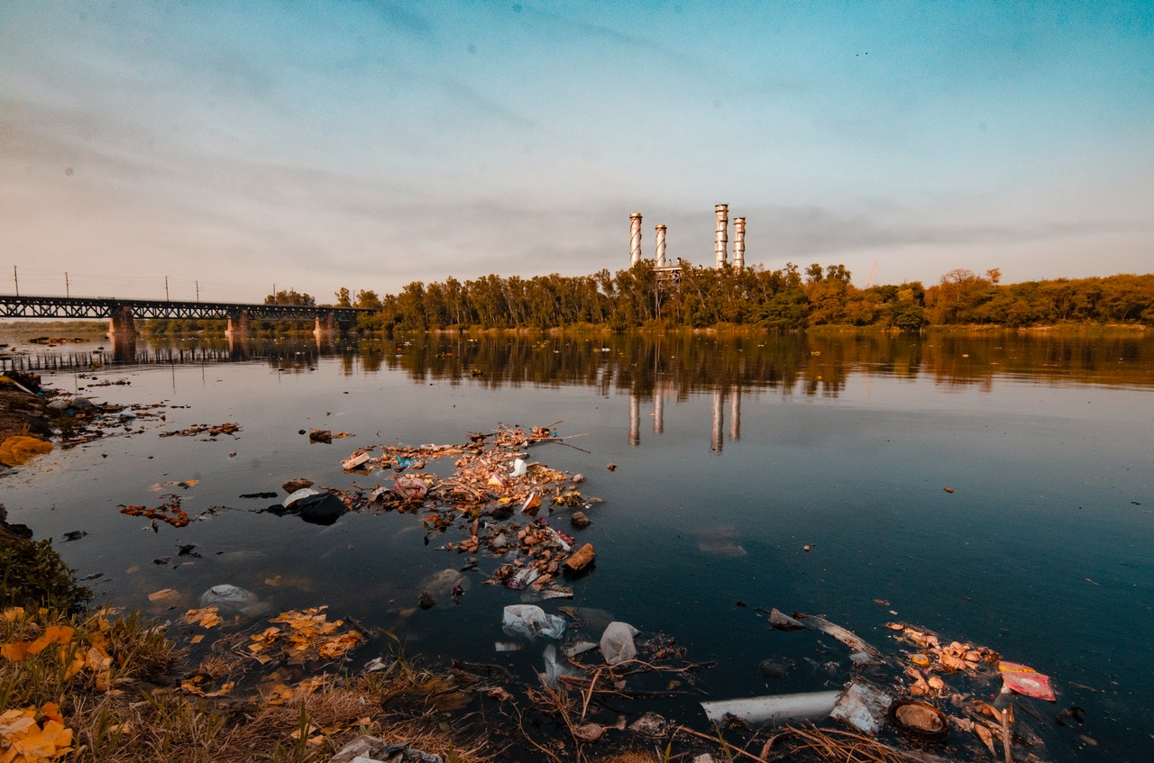 matéria sobre o Conselho Nacional de Justiça que quer usar a plataforma de blockchain para preservação do meio ambiente