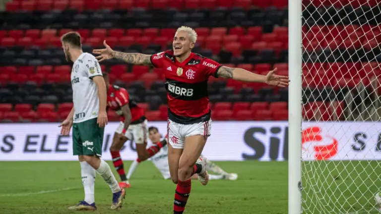 Brasileirão paralisado? Flamengo vai à justiça contra campeonato