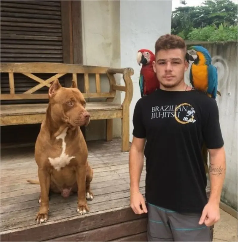 kaic crescente a vida da gente 