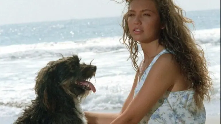 Estreias do GloboPlay em agosto de 2021: Marimar, A Viagem e mais