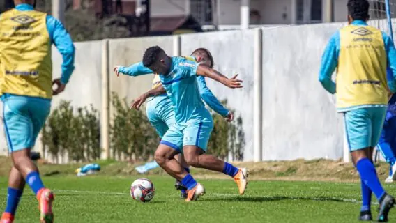 Jogo do Avaí x Guarani hoje – 10/08: onde assistir, horário e escalações