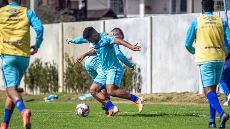 Jogo do Avaí x Guarani hoje – 10/08: onde assistir, horário e escalações