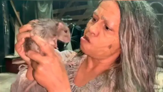 Vivianne Pasmanter em Nos Tempos do Imperador reviverá Germana