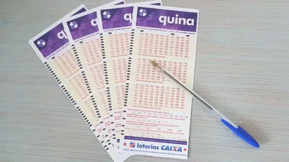 Quina 5630: ninguém acerta resultado e prêmio vai a R$ 16,5 milhões